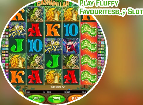 Fluffy favourites slot