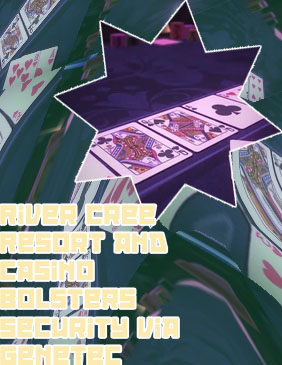 Pure casino edmonton poker tournament